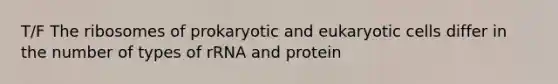 T/F The ribosomes of prokaryotic and eukaryotic cells differ in the number of types of rRNA and protein