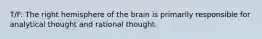 T/F: The right hemisphere of the brain is primarily responsible for analytical thought and rational thought.