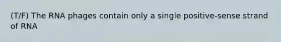 (T/F) The RNA phages contain only a single positive-sense strand of RNA