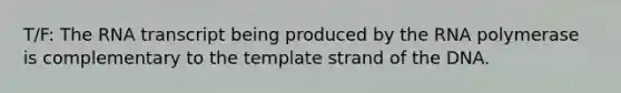 T/F: The RNA transcript being produced by the RNA polymerase is complementary to the template strand of the DNA.