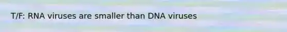 T/F: RNA viruses are smaller than DNA viruses