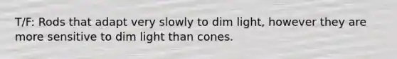 T/F: Rods that adapt very slowly to dim light, however they are more sensitive to dim light than cones.