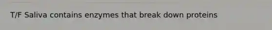 T/F Saliva contains enzymes that break down proteins