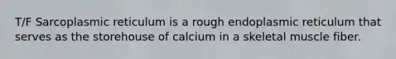 T/F Sarcoplasmic reticulum is a rough endoplasmic reticulum that serves as the storehouse of calcium in a skeletal muscle fiber.