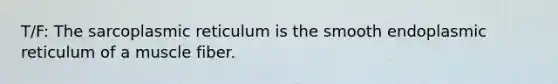 T/F: The sarcoplasmic reticulum is the smooth endoplasmic reticulum of a muscle fiber.