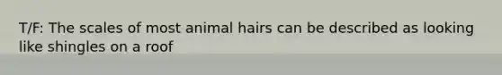 T/F: The scales of most animal hairs can be described as looking like shingles on a roof