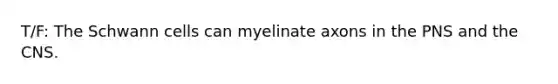 T/F: The Schwann cells can myelinate axons in the PNS and the CNS.