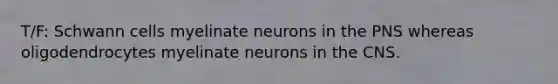 T/F: Schwann cells myelinate neurons in the PNS whereas oligodendrocytes myelinate neurons in the CNS.