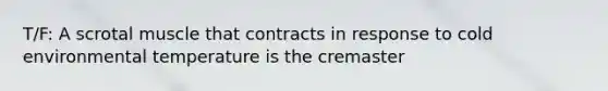 T/F: A scrotal muscle that contracts in response to cold environmental temperature is the cremaster