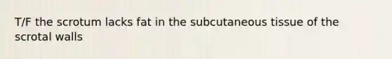 T/F the scrotum lacks fat in the subcutaneous tissue of the scrotal walls