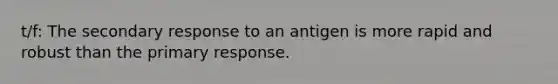 t/f: The secondary response to an antigen is more rapid and robust than the primary response.