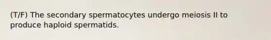 (T/F) The secondary spermatocytes undergo meiosis II to produce haploid spermatids.