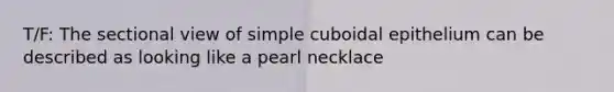 T/F: The sectional view of simple cuboidal epithelium can be described as looking like a pearl necklace