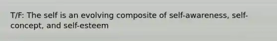T/F: The self is an evolving composite of self-awareness, self-concept, and self-esteem