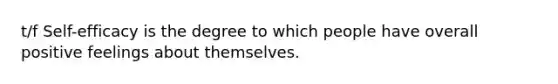 t/f Self-efficacy is the degree to which people have overall positive feelings about themselves.