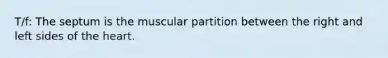 T/f: The septum is the muscular partition between the right and left sides of the heart.