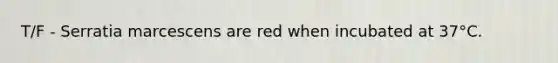 T/F - Serratia marcescens are red when incubated at 37°C.