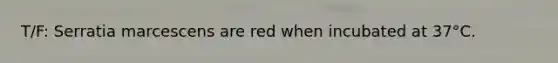 T/F: Serratia marcescens are red when incubated at 37°C.