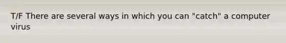 T/F There are several ways in which you can "catch" a computer virus