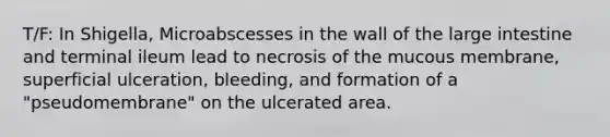 T/F: In Shigella, Microabscesses in the wall of the large intestine and terminal ileum lead to necrosis of the mucous membrane, superficial ulceration, bleeding, and formation of a "pseudomembrane" on the ulcerated area.