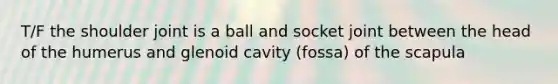 T/F the shoulder joint is a ball and socket joint between the head of the humerus and glenoid cavity (fossa) of the scapula