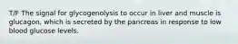 T/F The signal for glycogenolysis to occur in liver and muscle is glucagon, which is secreted by the pancreas in response to low blood glucose levels.