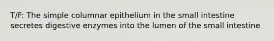 T/F: The simple columnar epithelium in <a href='https://www.questionai.com/knowledge/kt623fh5xn-the-small-intestine' class='anchor-knowledge'>the small intestine</a> secretes <a href='https://www.questionai.com/knowledge/kK14poSlmL-digestive-enzymes' class='anchor-knowledge'>digestive enzymes</a> into the lumen of the small intestine