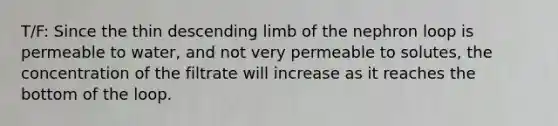 T/F: Since the thin descending limb of the nephron loop is permeable to water, and not very permeable to solutes, the concentration of the filtrate will increase as it reaches the bottom of the loop.