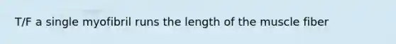 T/F a single myofibril runs the length of the muscle fiber