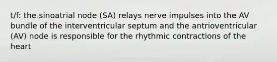 t/f: the sinoatrial node (SA) relays nerve impulses into the AV bundle of the interventricular septum and the antrioventricular (AV) node is responsible for the rhythmic contractions of the heart