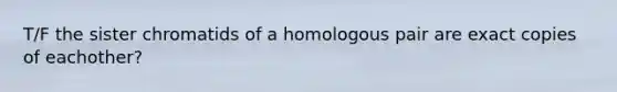 T/F the sister chromatids of a homologous pair are exact copies of eachother?