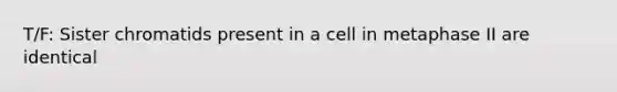 T/F: Sister chromatids present in a cell in metaphase II are identical