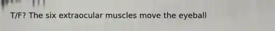 T/F? The six extraocular muscles move the eyeball