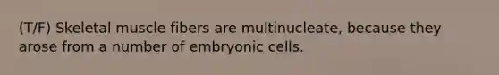 (T/F) Skeletal muscle fibers are multinucleate, because they arose from a number of embryonic cells.