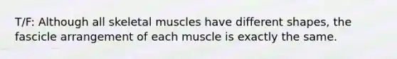 T/F: Although all skeletal muscles have different shapes, the fascicle arrangement of each muscle is exactly the same.