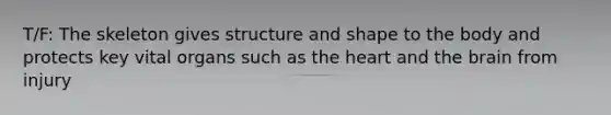 T/F: The skeleton gives structure and shape to the body and protects key vital organs such as the heart and the brain from injury