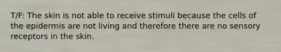 T/F: The skin is not able to receive stimuli because the cells of the epidermis are not living and therefore there are no sensory receptors in the skin.
