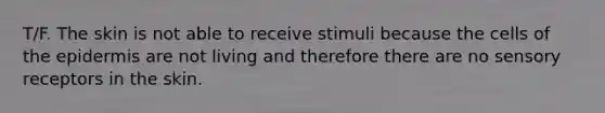 T/F. The skin is not able to receive stimuli because the cells of the epidermis are not living and therefore there are no sensory receptors in the skin.