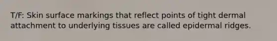 T/F: Skin surface markings that reflect points of tight dermal attachment to underlying tissues are called epidermal ridges.