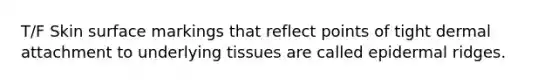 T/F Skin surface markings that reflect points of tight dermal attachment to underlying tissues are called epidermal ridges.