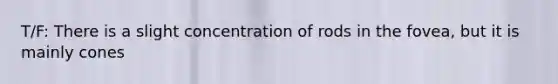 T/F: There is a slight concentration of rods in the fovea, but it is mainly cones