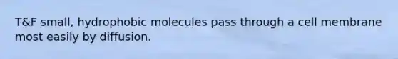 T&F small, hydrophobic molecules pass through a cell membrane most easily by diffusion.