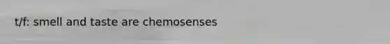 t/f: smell and taste are chemosenses