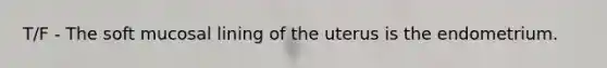 T/F - The soft mucosal lining of the uterus is the endometrium.