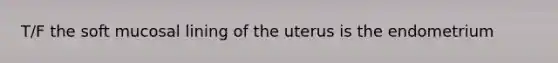 T/F the soft mucosal lining of the uterus is the endometrium