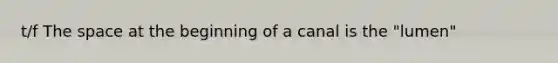 t/f <a href='https://www.questionai.com/knowledge/k0Lyloclid-the-space' class='anchor-knowledge'>the space</a> at the beginning of a canal is the "lumen"