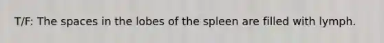 T/F: The spaces in the lobes of the spleen are filled with lymph.