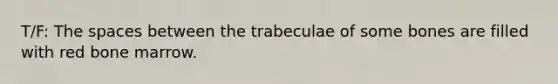 T/F: The spaces between the trabeculae of some bones are filled with red bone marrow.