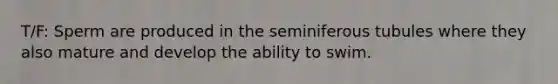 T/F: Sperm are produced in the seminiferous tubules where they also mature and develop the ability to swim.