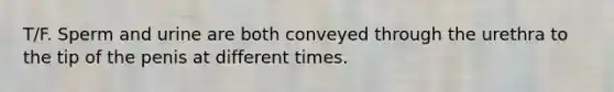 T/F. Sperm and urine are both conveyed through the urethra to the tip of the penis at different times.